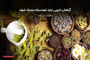 گیاهان دارویی نباید خودسرانه مصرف شوند