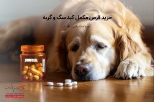 خرید قرص مکمل کبد سگ و گربه