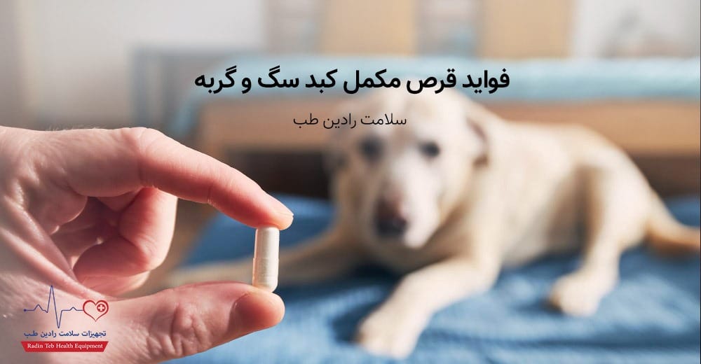 فواید قرص مکمل کبد سگ و گربه