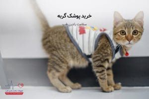خرید پوشک گربه