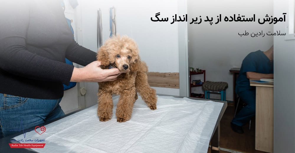 آموزش استفاده از پد زیر انداز سگ چگونه از پد ادرار برای آموزش سگ استفاده کنیم؟