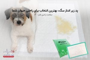 پد زیر انداز سگ خرید پد زیر انداز سگ