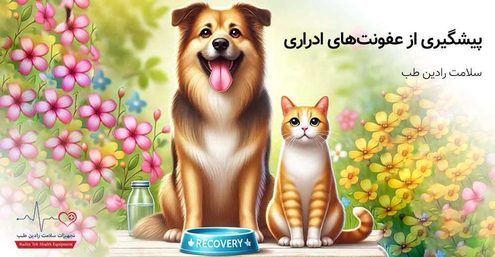راهکارهای تکمیلی برای پیشگیری از عفونت‌های ادراری