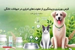 قرص یورینری و پیشگیری از عفونت‌های ادراری در حیوانات خانگی