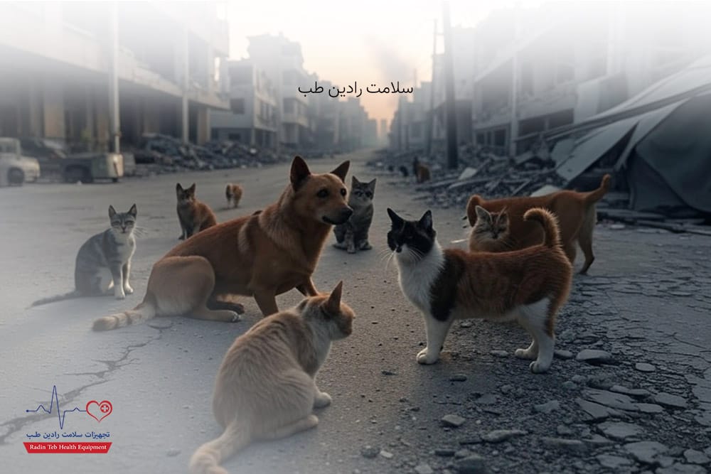 مراقبت از حیوانات خانگی در شرایط جنگی 2 مراقبت از حیوانات خانگی در شرایط جنگی