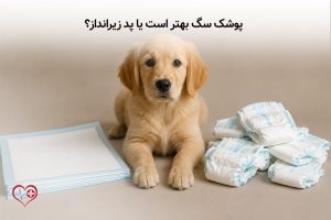 new home 91 پوشک سگ بهتر است یا پد زیرانداز
